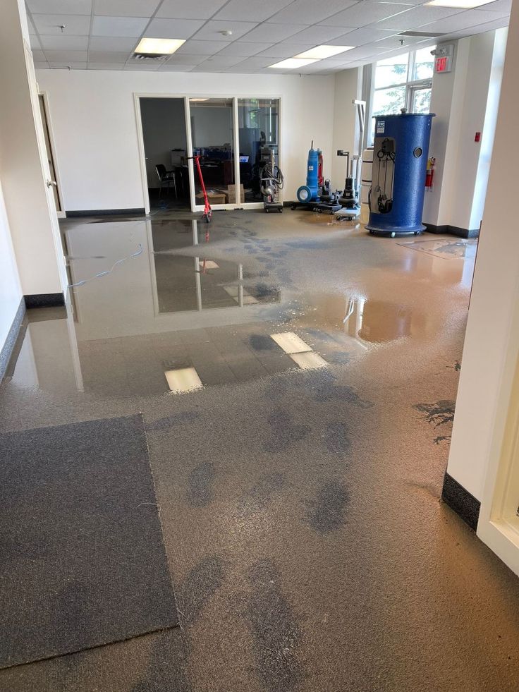 Flood Damage Cleanout Service In Washougal