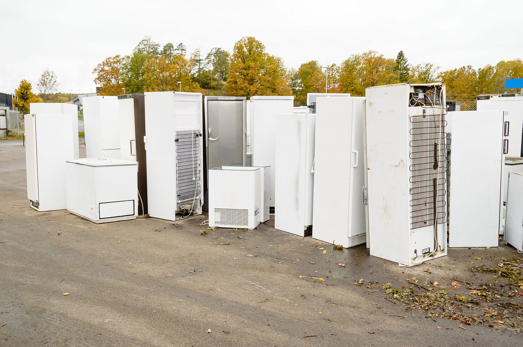 Refrigerator Removal Service In Washougal